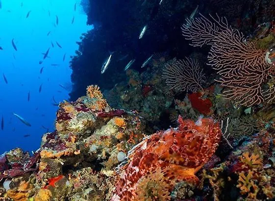 Apartment Sweet Antonio